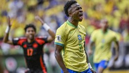 成为新宠 成为新宠