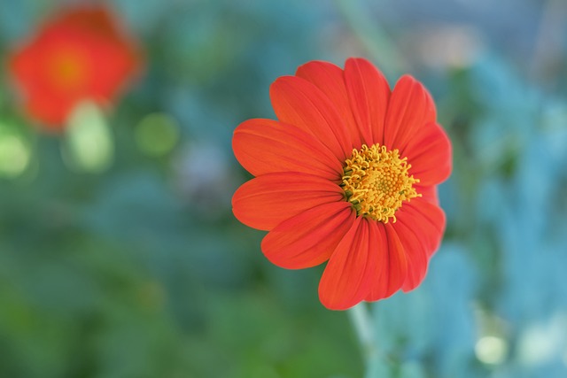 添了巨大的 添了巨大的