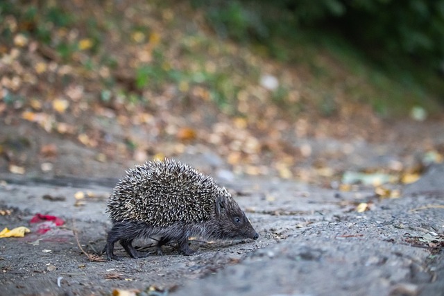 这样的问题 这样的问题