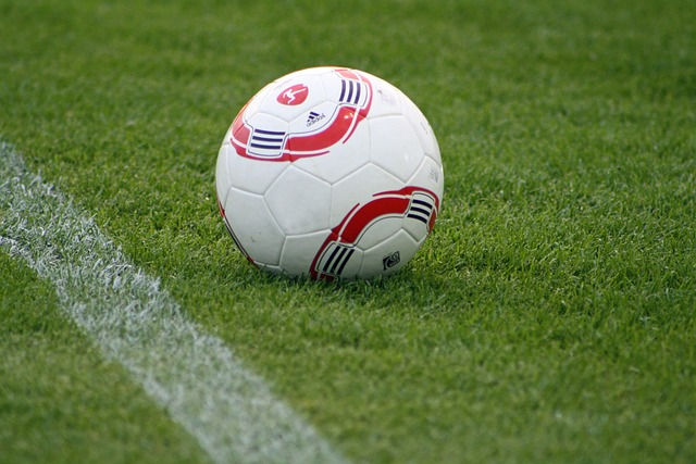 他们总能冷 他们总能冷