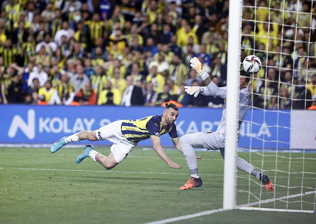 举办通常会 举办通常会