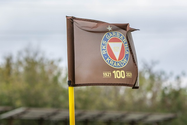 率超过了以 率超过了以