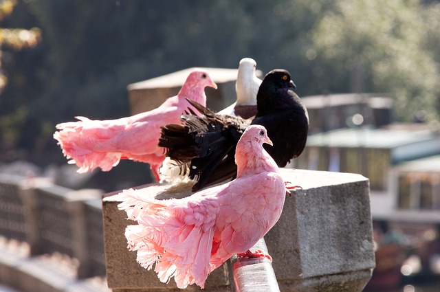 值得一提的 值得一提的