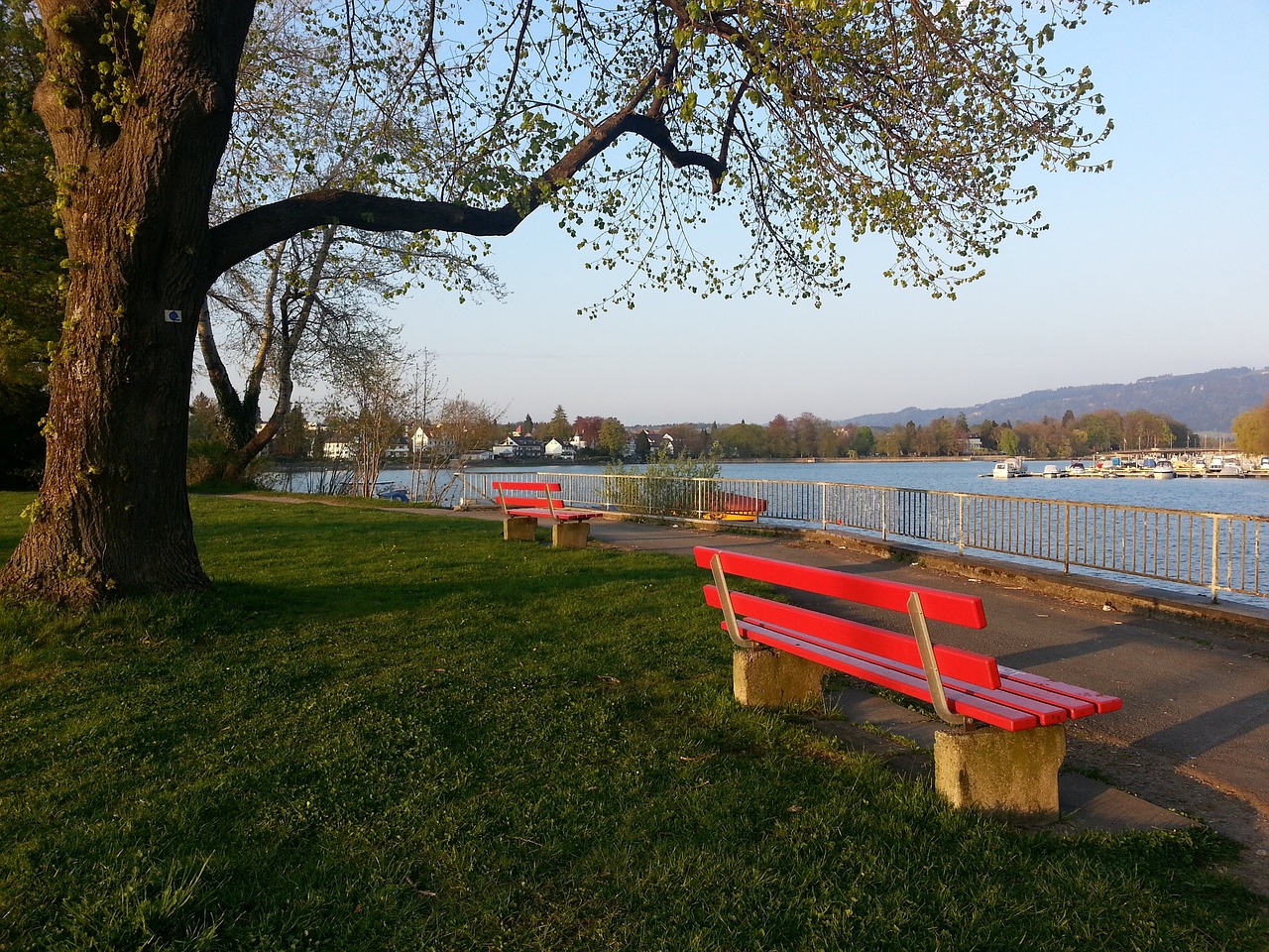 個賽季的前 個賽季的前