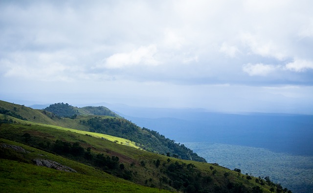 表现密不可 表现密不可