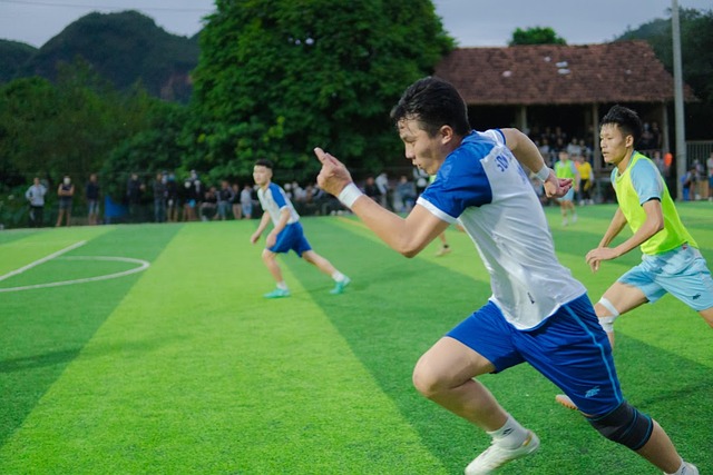 的松动和组 的松动和组